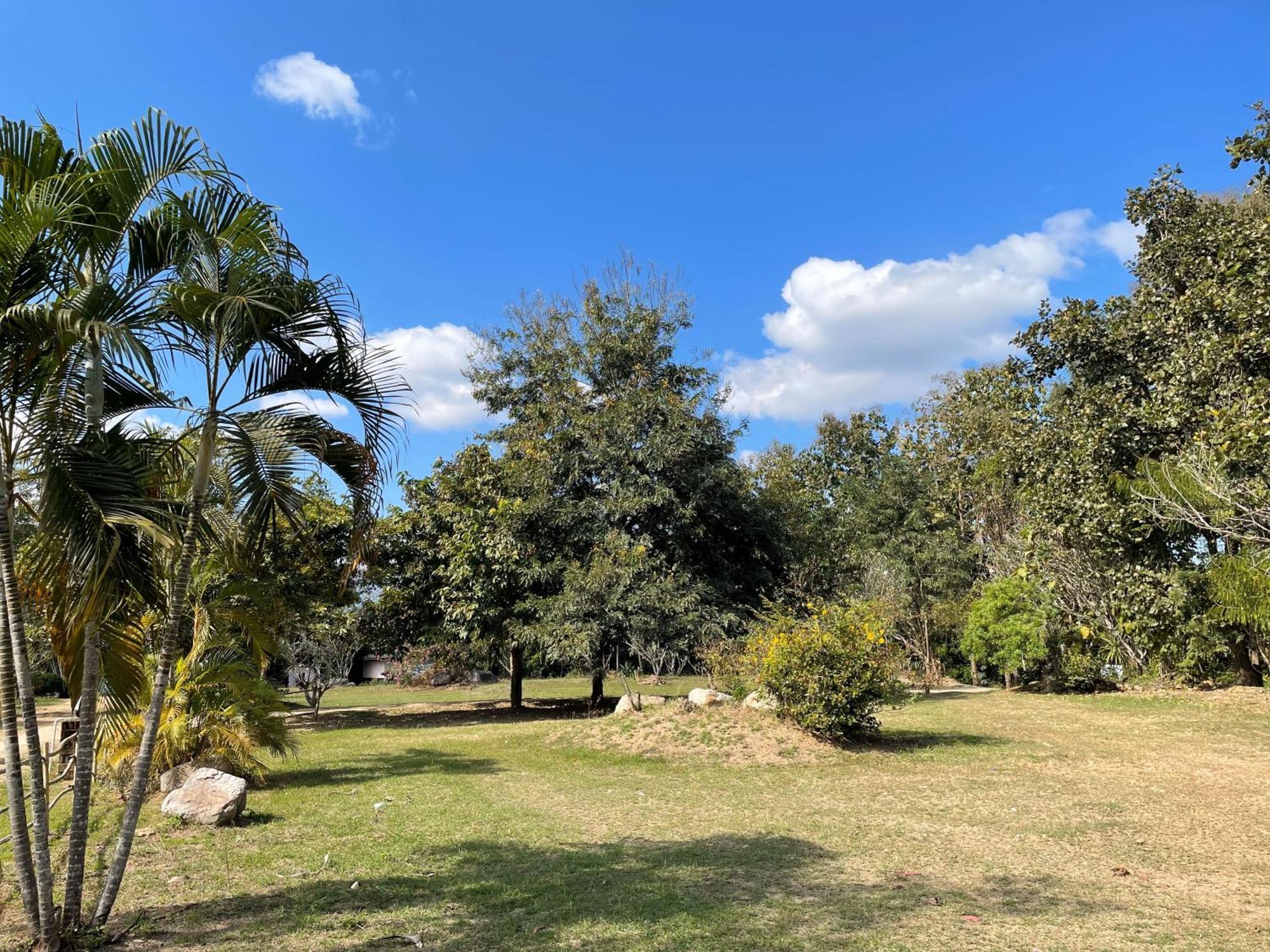 Pai Kiniman Resort Bagian luar foto