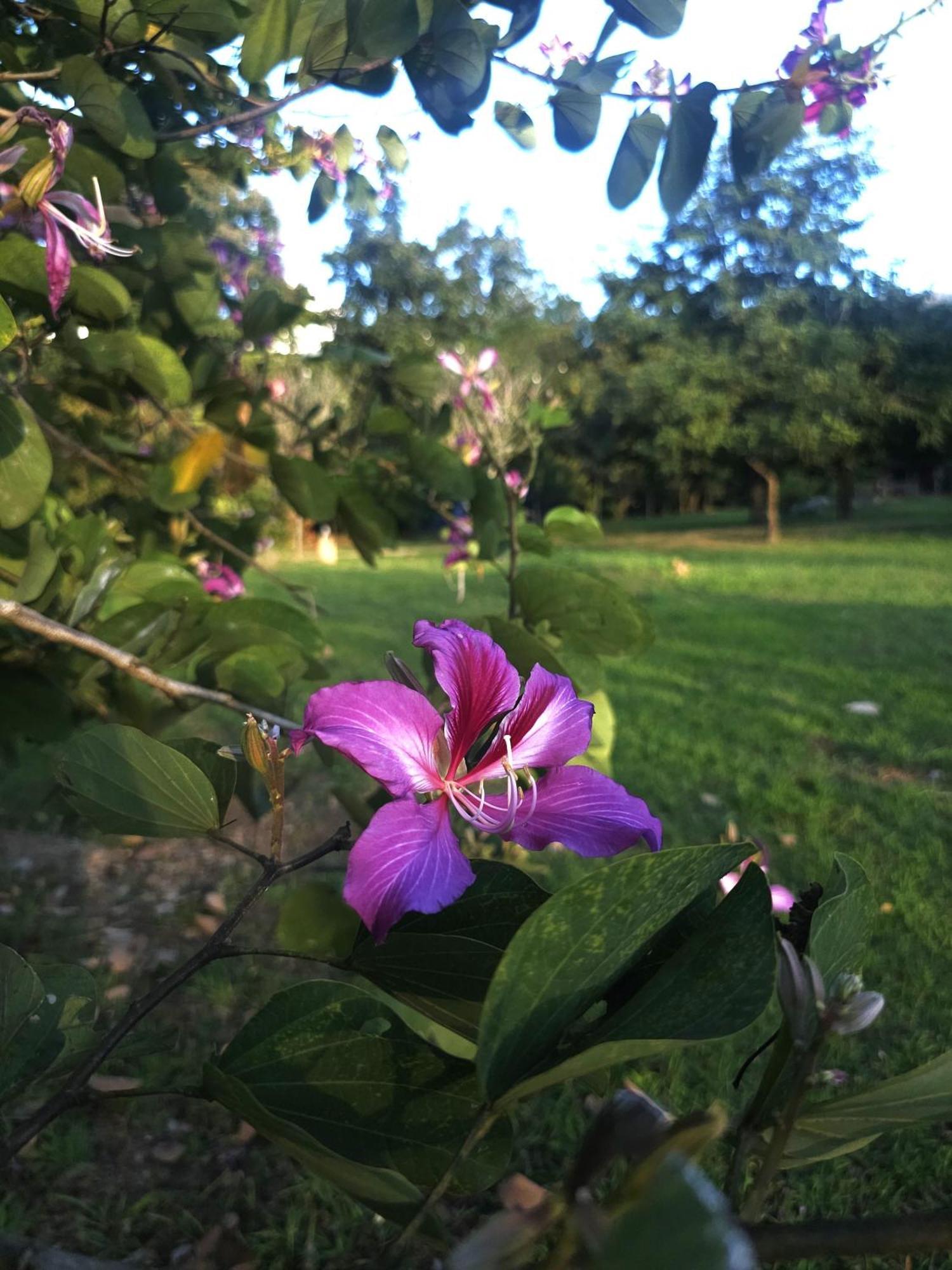 Pai Kiniman Resort Bagian luar foto