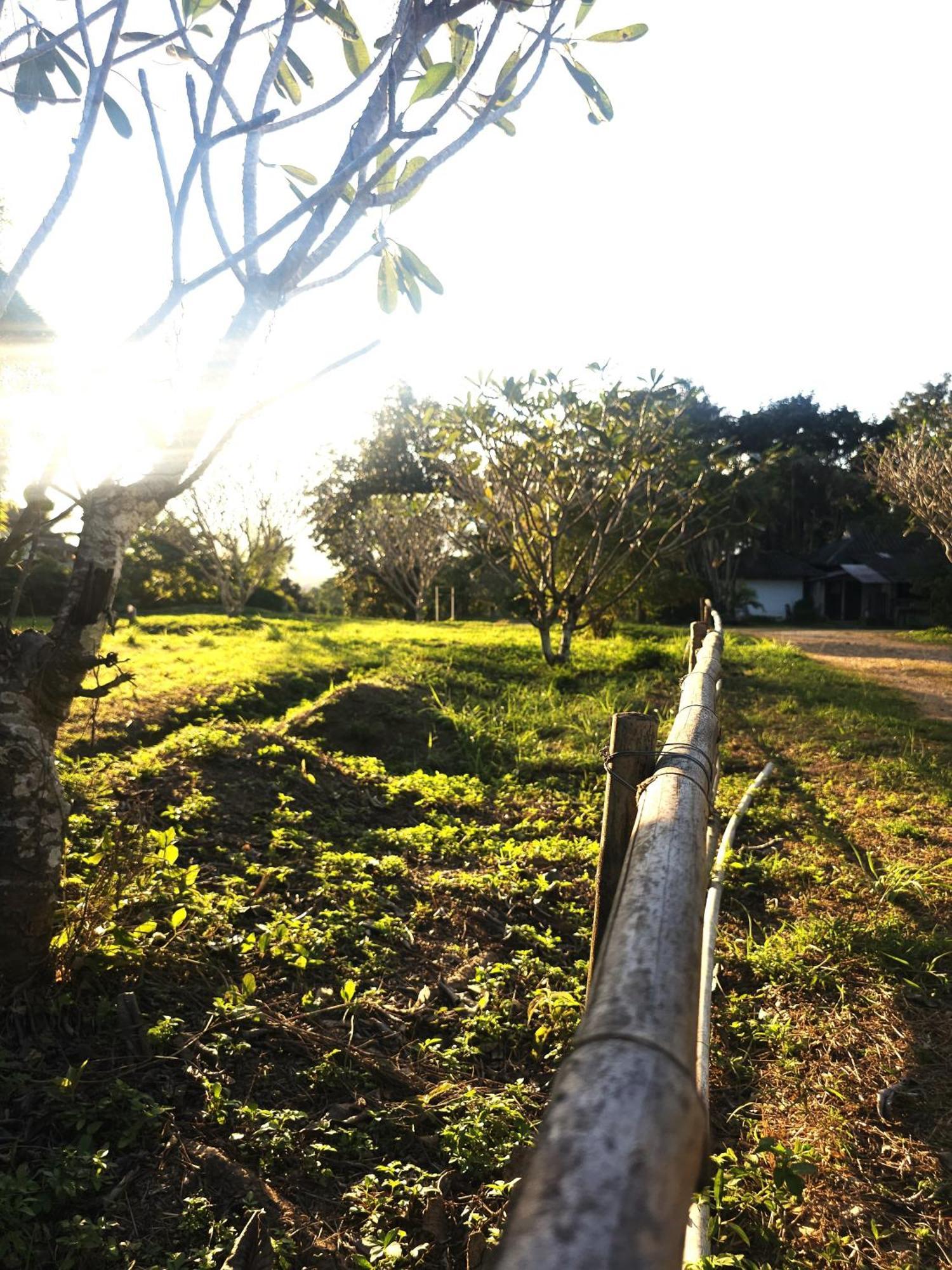 Pai Kiniman Resort Bagian luar foto