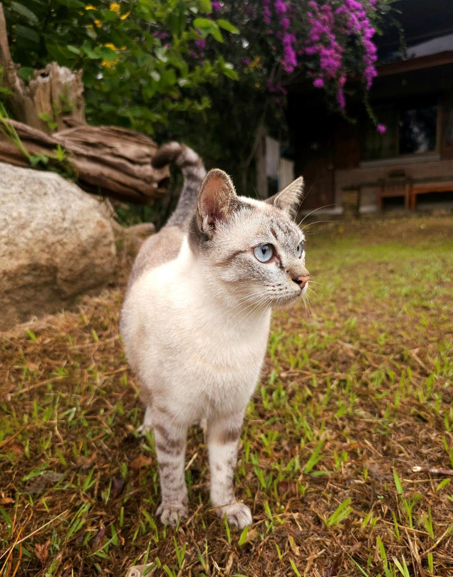 Pai Kiniman Resort Bagian luar foto