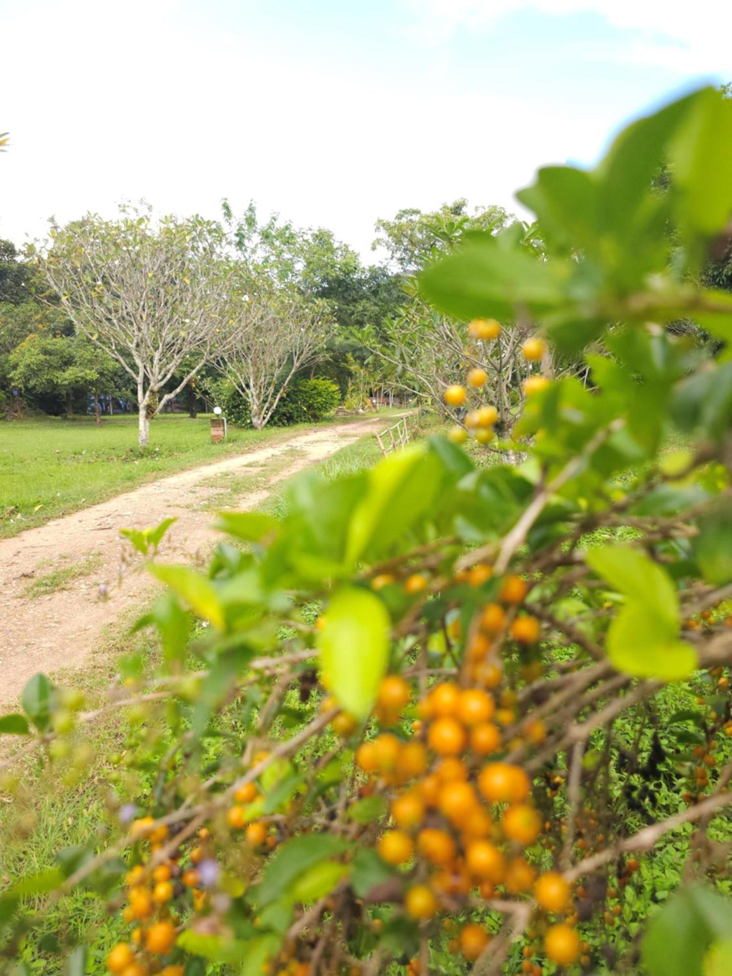 Pai Kiniman Resort Bagian luar foto